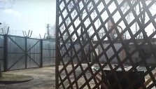 Uostamiesčio policijos akiratyje &ndash; sukčiavę ir žmones apgaudinėję vyrai.