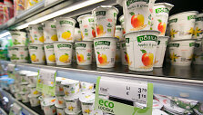 Pieno produktai