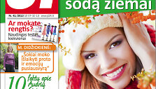 2013 m. Nr. 41