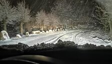 Ernestos &Scaron;eikės nuotrauka