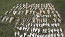 &Scaron;imtą kilogramų sveriantis brakonierių laimikis