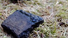 Pamarių kultūros puodo &scaron;ukė su degėsiais. Rasta Nidoje (asociatyvi nuotr., autorius K. Peseckas)