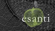 Knyga &bdquo;Esanti&ldquo;
