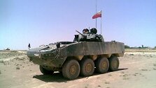 Lenkų gamybos &scaron;arvuotis &bdquo;Rosomak&ldquo;