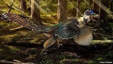 Atrasto dinozauro Zhenyuanlongo meninė iliustracija