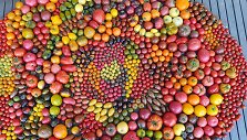 Kaunietės Daivos i&scaron; pomidorų sudėliota mandala 