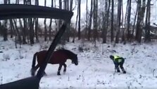 Vienas pareigūnų arklį sugavo ir priri&scaron;o