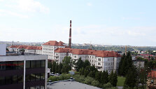 Kauno klinikos