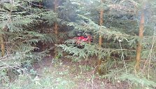 0907-keturratis-Plaskiai