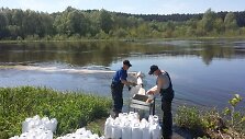 Į Nemuną ties Varvi&scaron;kės kaimu i&scaron;piltas biologinis preparatas ma&scaron;alų lervoms naikinti