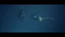 Filmas &bdquo;Plaukikė&ldquo; (&bdquo;The Swimmer&ldquo;)