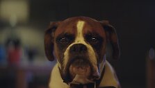Kadras i&scaron; kalėdinės &bdquo;John Lewis&ldquo; reklamos