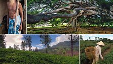 &bdquo;Azijos dvasia&ldquo;: &Scaron;ri Lanka