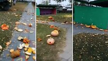 Vandalų nuniokoti vaikų i&scaron;skaptuoti moliūgai