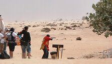 Lietuvos &scaron;auliai grįžo i&scaron; brangiausio pasaulyje dykumų &scaron;audymo čempionato Dubajuje