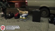 Klaipėdoje sulaikyta narkotikų siunta