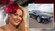 Nijolė Pareigytė-Rukaitienė, parduodamas automobilis
