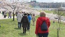 &Scaron;iaurieti&scaron;ko žygio akimirka, organizatorių nuotrauka