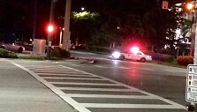 Policijos automobilis Floridoje