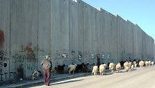 Palestina