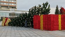 Nuvirto Marijampolės Kalėdų eglė