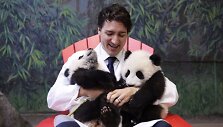 Kanados ministras pirmininkas Justinas Trudeau su pandų jaunikliais