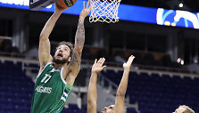 Joffrey Lauvergne'as