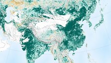 NASA sudarytas žemėlapis: kuo žalesnė spalva, tuo labiau toje vietovėje pagausėjo medžių per pastaruosius 20 metų