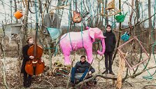 &bdquo;The Pink Elephant&ldquo;
