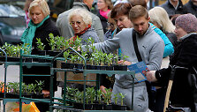 &bdquo;Derliaus &scaron;ventė 2013&ldquo;