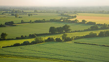 shutterstock (3)