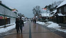 Palangos J.Basanavičiaus gatvė