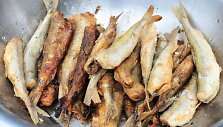 Stintos