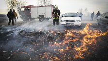 Dusetose vyksta tradicinės Sartų žirgų lenktynės.