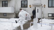 &Scaron;vedijoje migrantas nudūrė žmogų