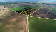 Shutterstock (1)