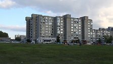 Pilaitė