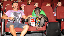 &Scaron;impanzė Džonis dirbo kino teatre