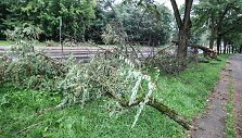 Per audrą i&scaron;vartyti medžiai tebetvarkomi