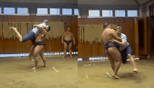 Ericas Trumpas sumo ringe Japonijoje