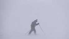 Pūga Kanadoje