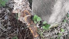 Aptiktas sprogmuo