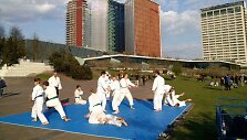 Aikido prie Vilniaus sakurų