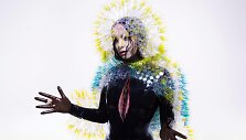 Bjork albumo &bdquo;Vulnicura&ldquo; vir&scaron;elis
