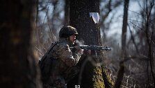 Ukrainos karys