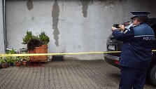Rumunijoje nu&scaron;auta rudoji me&scaron;ka