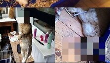Feisbuke pavie&scaron;intos nukankinto triu&scaron;io nuotraukos