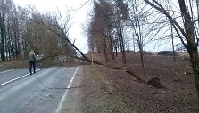 Nuvirtęs medis