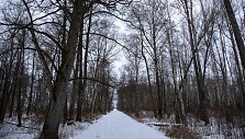 Žalgirių pažintinis takas