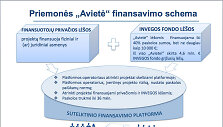 Priemonė "Avietė". Finansavimo schema